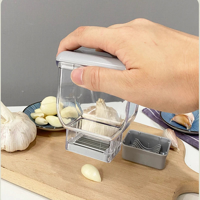 Manual Pressing Garlic Grinding Grater
