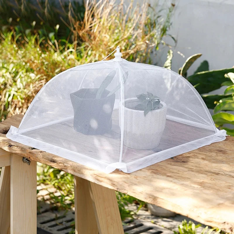 Food Cover Mesh